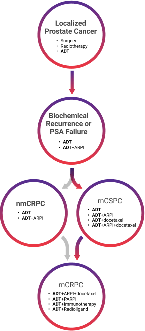 Flowchart showing progression from localized prostate cancer to biochemical recurrence, then branching to mCSPC, nmCRPC, and mCRPC prostate cancer states.