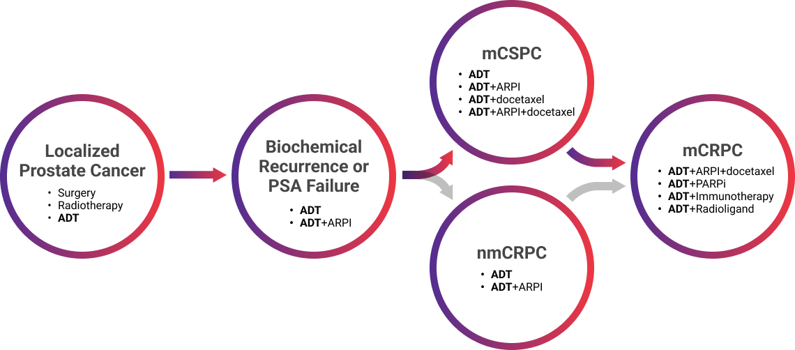 Flowchart showing progression from localized prostate cancer to biochemical recurrence, then branching to mCSPC, nmCRPC, and mCRPC prostate cancer states.